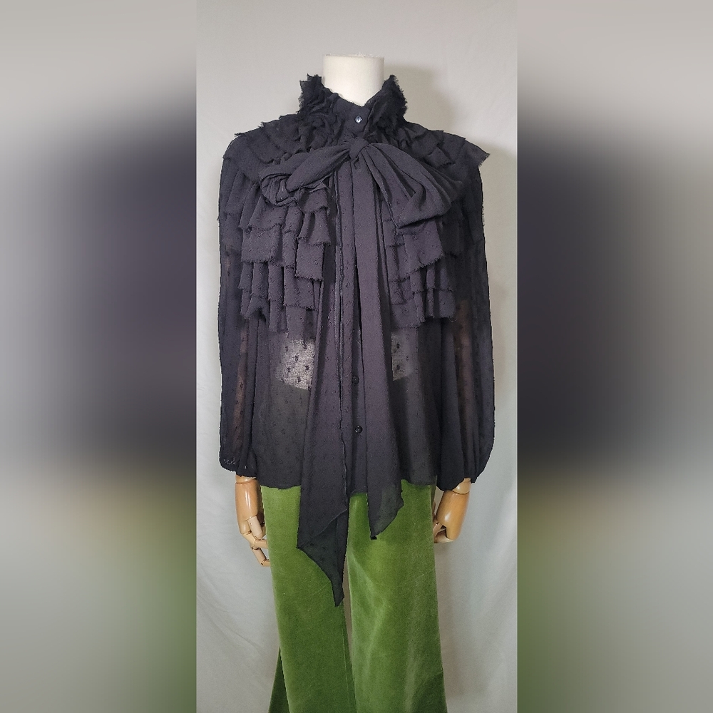ZARA NEW Ruffled Dotted Mesh Blouse 6895/268 BNWT Size Small